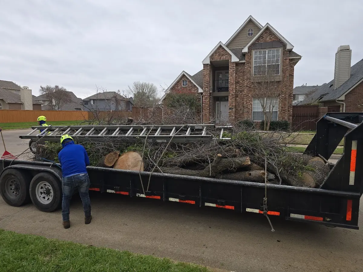 Expert Lot Clearing with proper safety equipment in Columbia